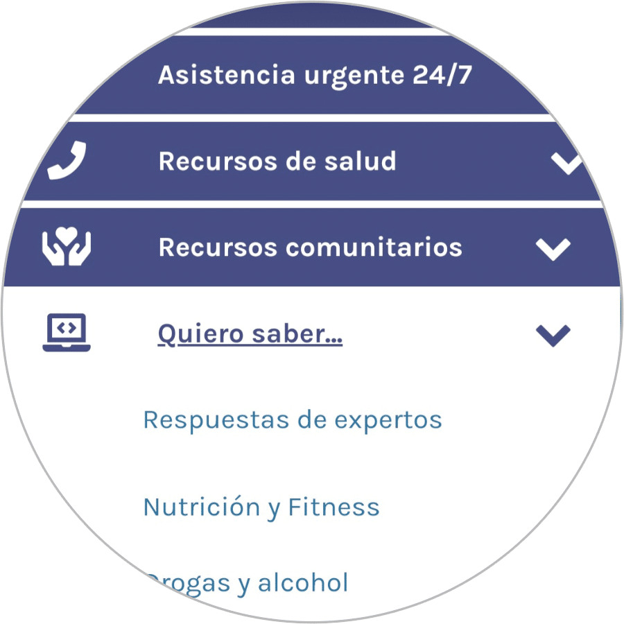 App Screenshot Spanish