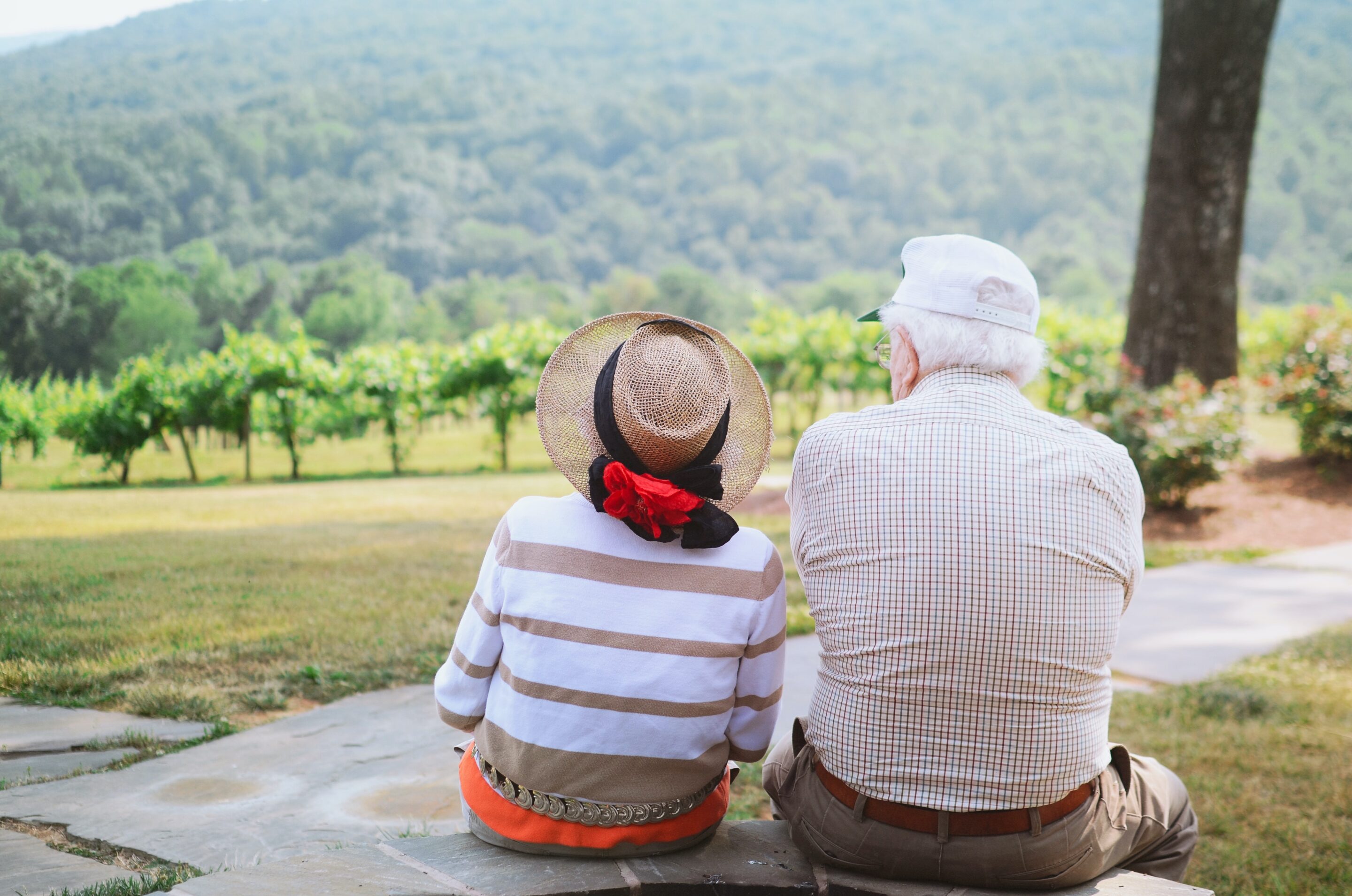 an older gentleman and a caregiver sit in nature staring out into the distance.